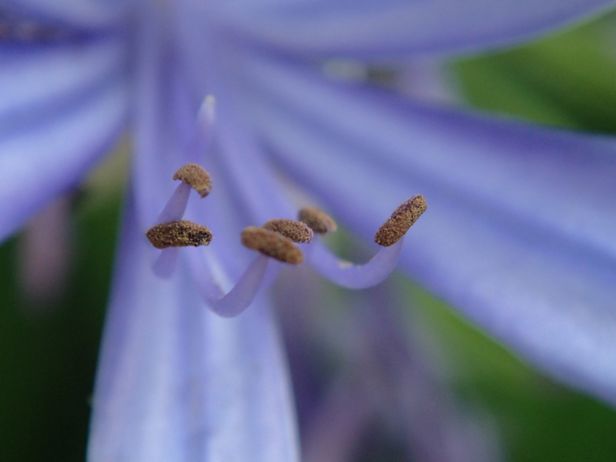 Olympus Stylus Tough TG2 – twardy zawodnik [test] 33
