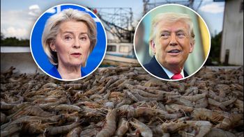 Mięso z bizona i krewetki zaleją Europę? Jest umowa z USA