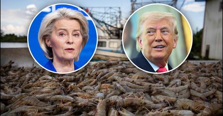 Mięso z bizona i krewetki zaleją Europę? Jest umowa z USA