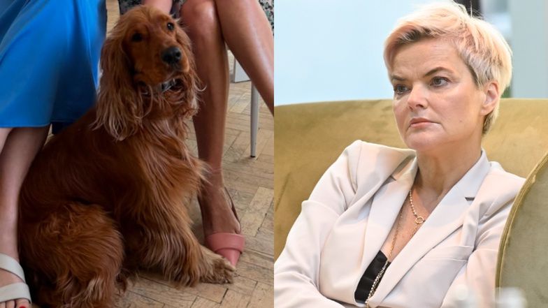 Monika Richardson gorzko o klinice weterynaryjnej