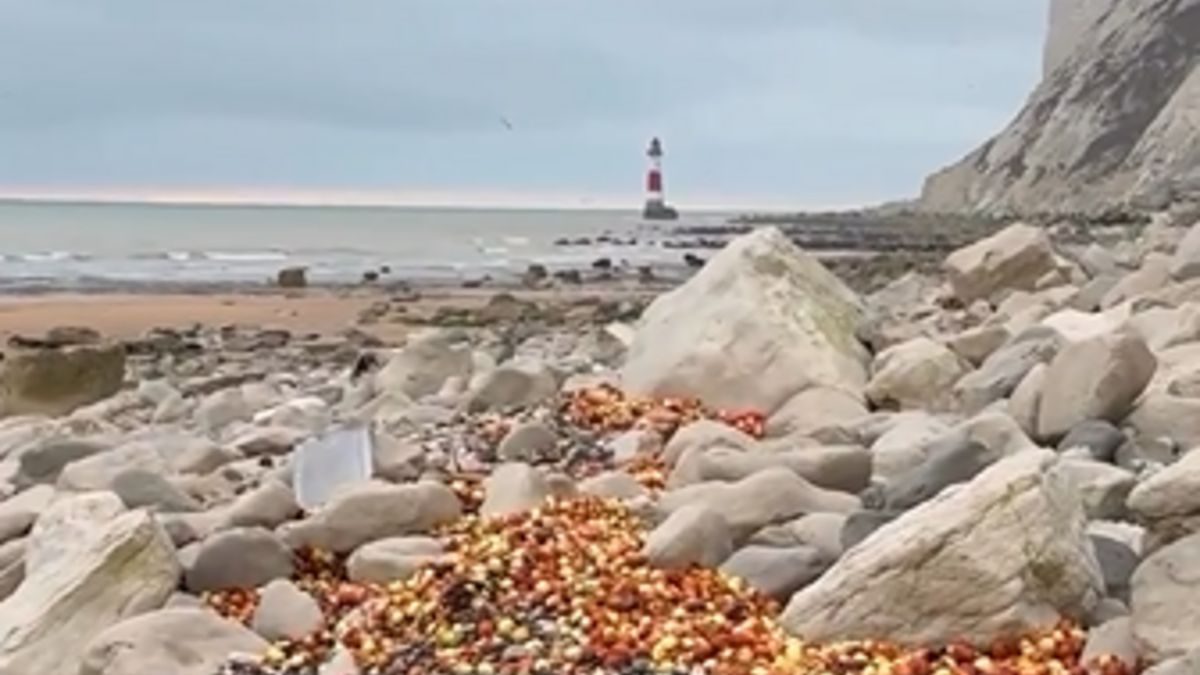 Cebule na plaży w Brighton