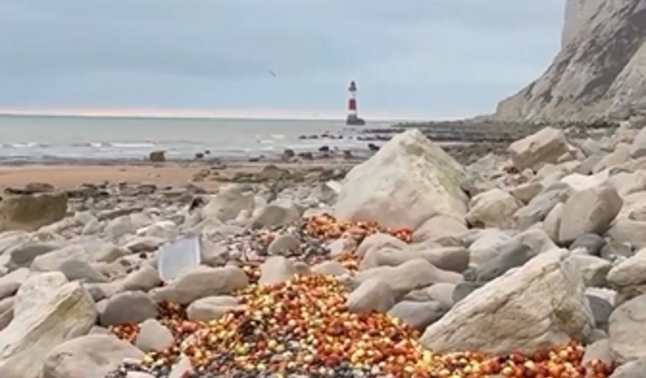 Plaża pełna cebuli i bananów. Nie znalazły się tam przypadkiem