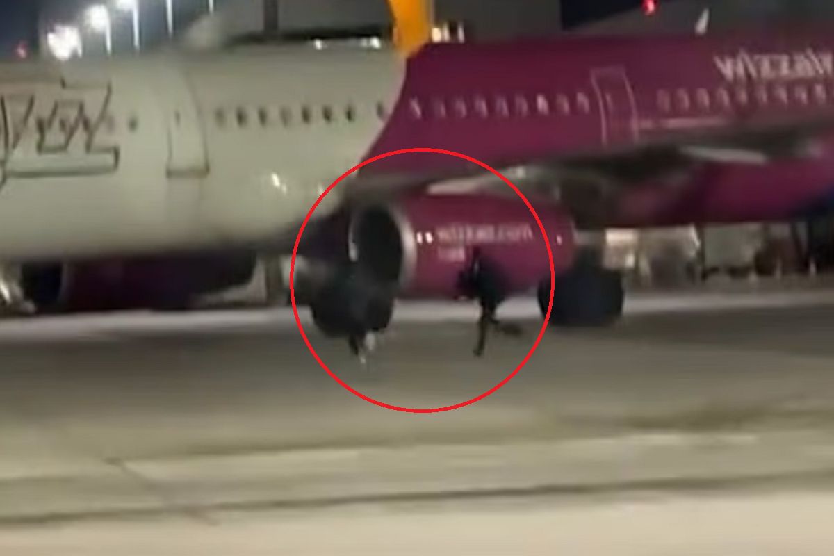 Sceny jak z filmu. Gonili samolot na lotnisku w Niemczech