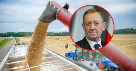 Ukraińskie zboże w Polsce. Nowy minister chce apelować do UE