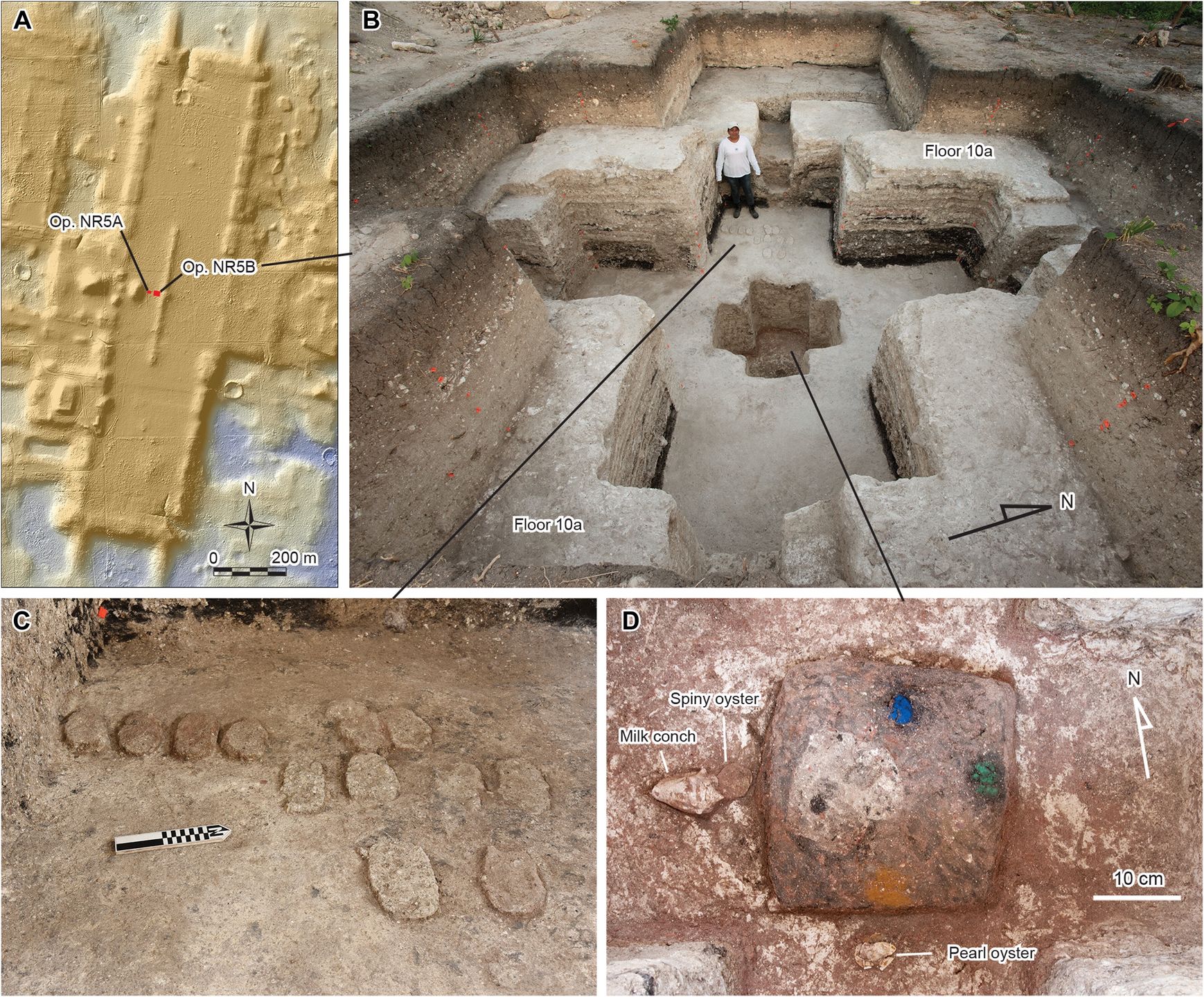 Lokalizacje jednostek wykopu