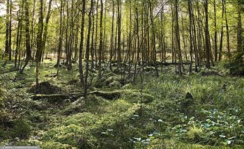 Nowy rezerwat przyrody. Oto gdzie powstał