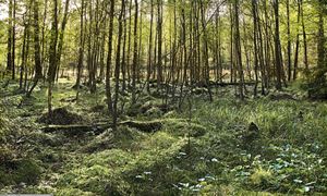 Nowy rezerwat przyrody. Oto gdzie powstał