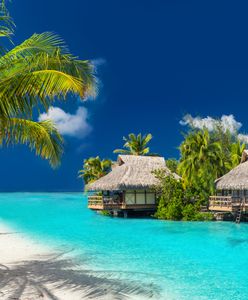 Tyle wydał na urlop w raju. "Malediwy są tańsze od Stegny"