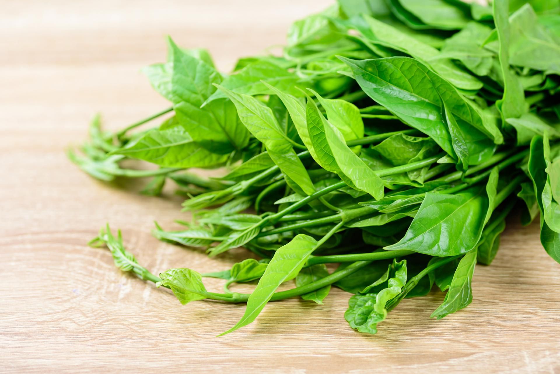 Właściwości lecznicze mają liście rośliny