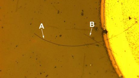 Przyszłość jawi się w ultrafiolecie 1