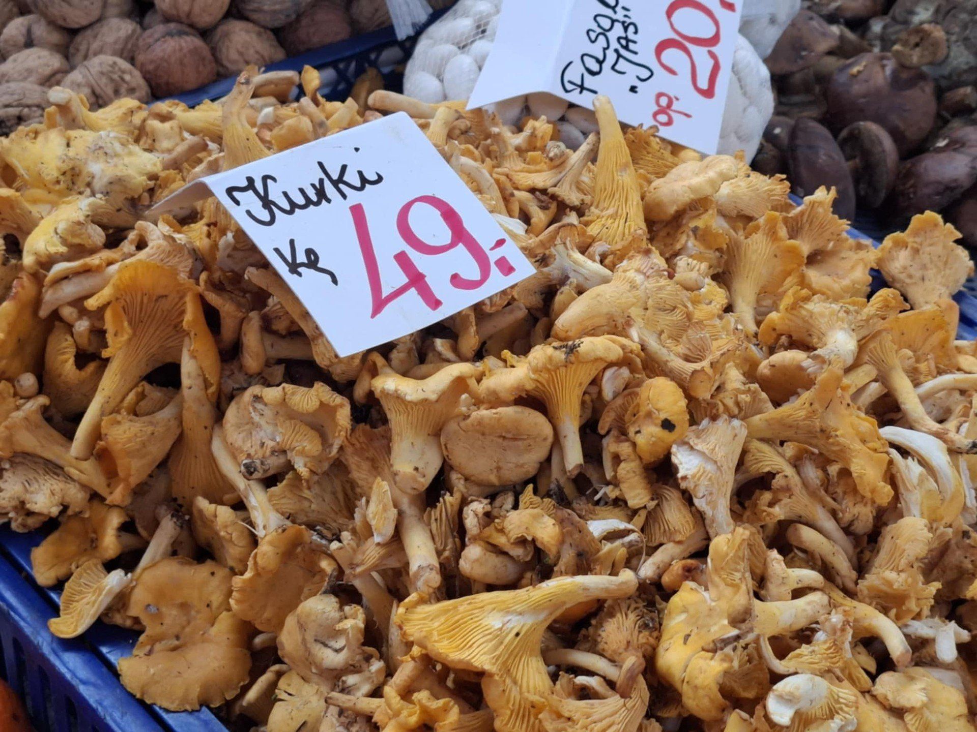 Po ile grzyby we Wrocławiu?
