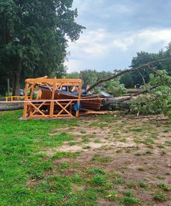 Siedzieli pod wiatą. Spadło na nich drzewo