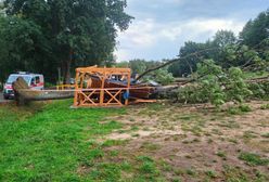 Siedzieli pod wiatą. Spadło na nich drzewo