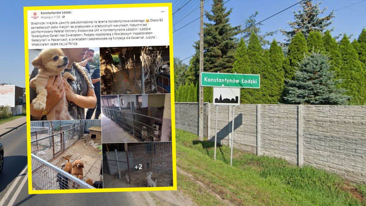 Zwierzęta przebywały w koszmarnych warunkach