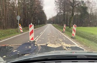 Ptasia grypa się szerzy i szerzyć będzie. Zdjęcie mat dezynfekujących koło Żuromina mówi wszystko