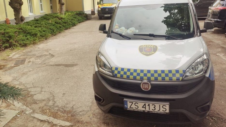 Pijany awanturnik kontra strażnicy miejscy. 