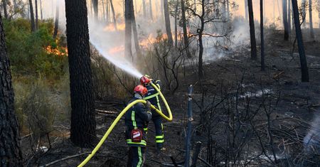 Pożary lasów we Francji. 10 tys. osób bez dachu nad głową