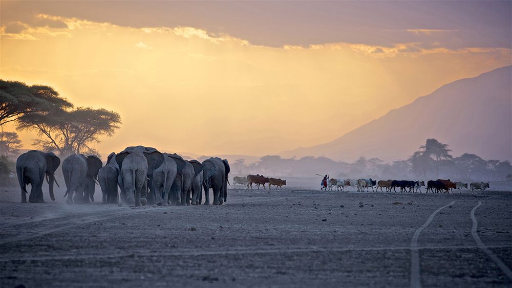 Zobaczcie najlepsze zdjęcia konkursu GDT European Wildlife Photographer of the Year 2016 10