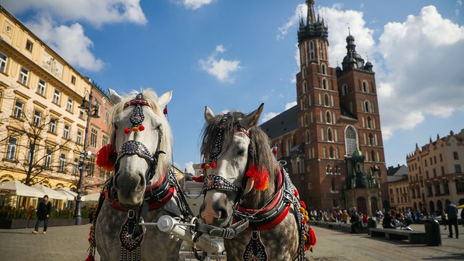 Konie na Rynku Głównym w Krakowie