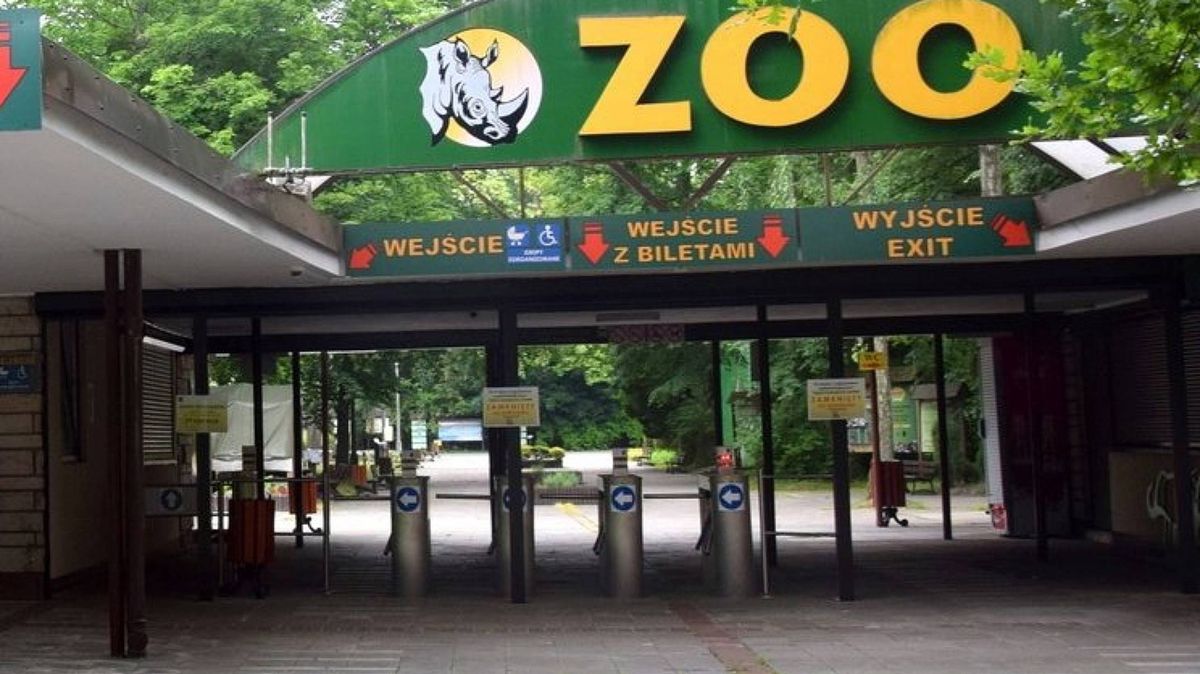 Zoo w Poznaniu