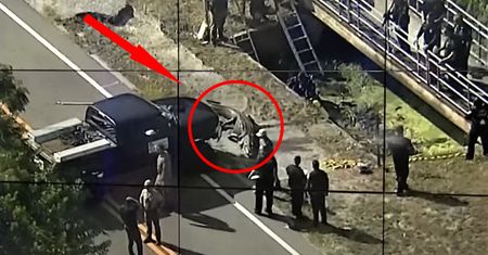 Sceny jak z horroru. To aligator miał w paszczy