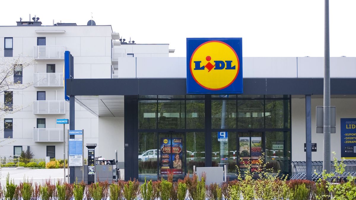 Promocje w Lidlu.