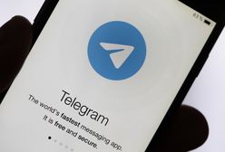 Stories в Telegram. Дуров анонсував нову функцію