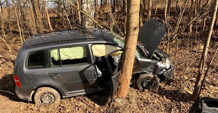 Pijany wjechał samochodem w przydrożne krzaki. Miał pół promila alkoholu w organizmie