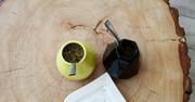 Yerba mate – król jest jeden! [TOP 1]