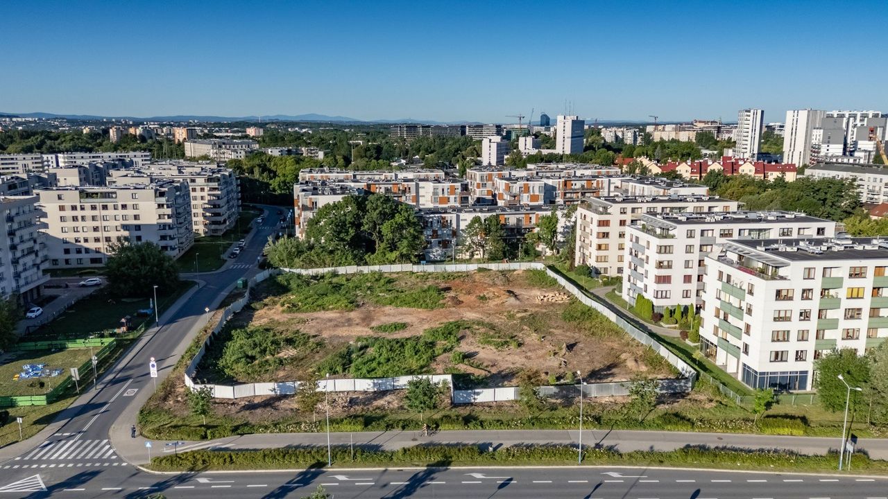 Kraków: Radni za zwiększeniem kar za wycinanie drzew bez zezwolenia