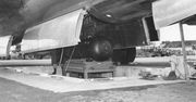 Amerykańscy jeńcy w Hiroszimie. Bomba atomowa zabiła obywateli USA