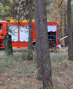Wichura w Zielonej Górze. Drzewo runęło na przedszkole
