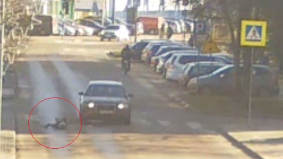 Zdjęcie ilustracyjne