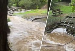 Cały park zalany. Atrakcja turystyczna zniszczona, są nagrania