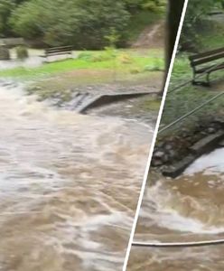 Cały park zalany. Atrakcja turystyczna zniszczona, są nagrania