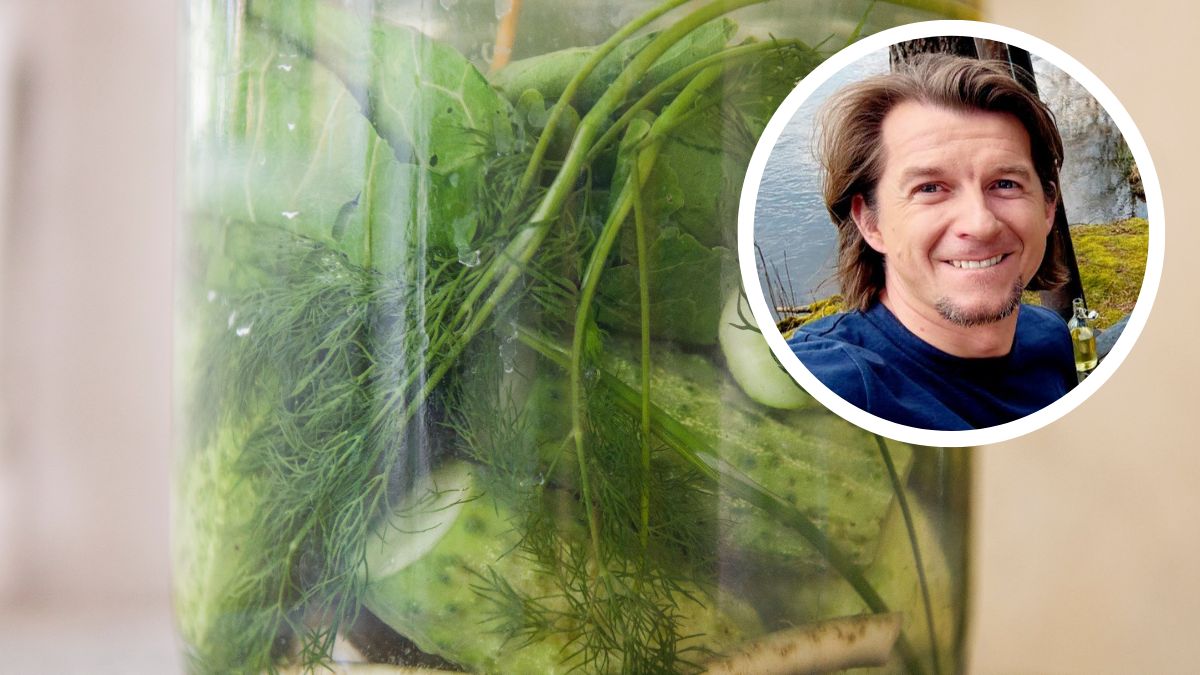 Karol Okrasa pokazał autorski przepis na ogórki małosolne