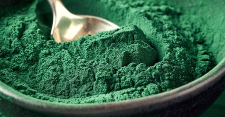 Spirulina – właściwości, wskazania, przeciwwskazania, dawkowanie