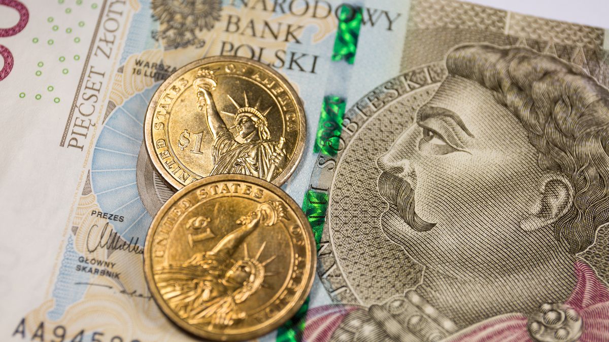 POLAND - 2022/03/09: In this photo illustration, the reverse of the United States 1 dollar coins with Statue of Liberty and Polish 500 zloty banknote are seen displayed. (Photo Illustration by Karol Serewis/SOPA Images/LightRocket via Getty Images)