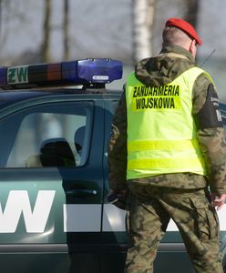 Znaleźli go w polu kukurydzy. Kolejny dron-wabik w Polsce