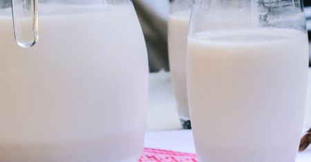 Ma zbawienny wpływ na jelita. Smakuje jak kwaśne mleko, ale powstaje z niewielkich bulw