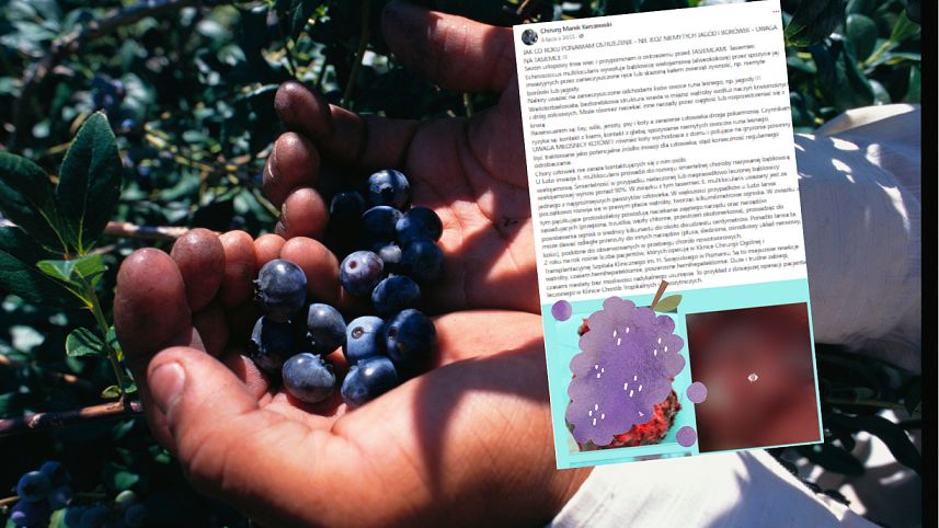 Nigdy nie jedz nieumytych owoców