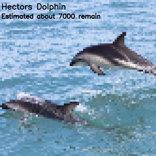 418155028773295986