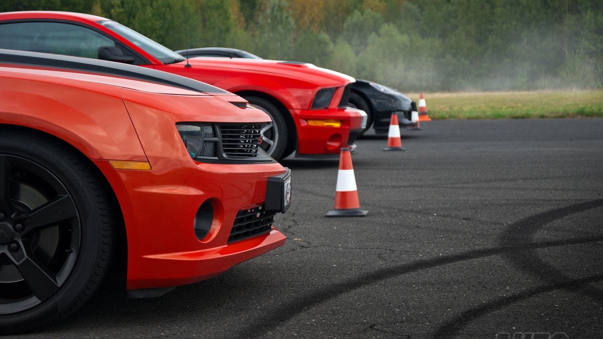 Zdjęcie ilustracyjne do artykułu