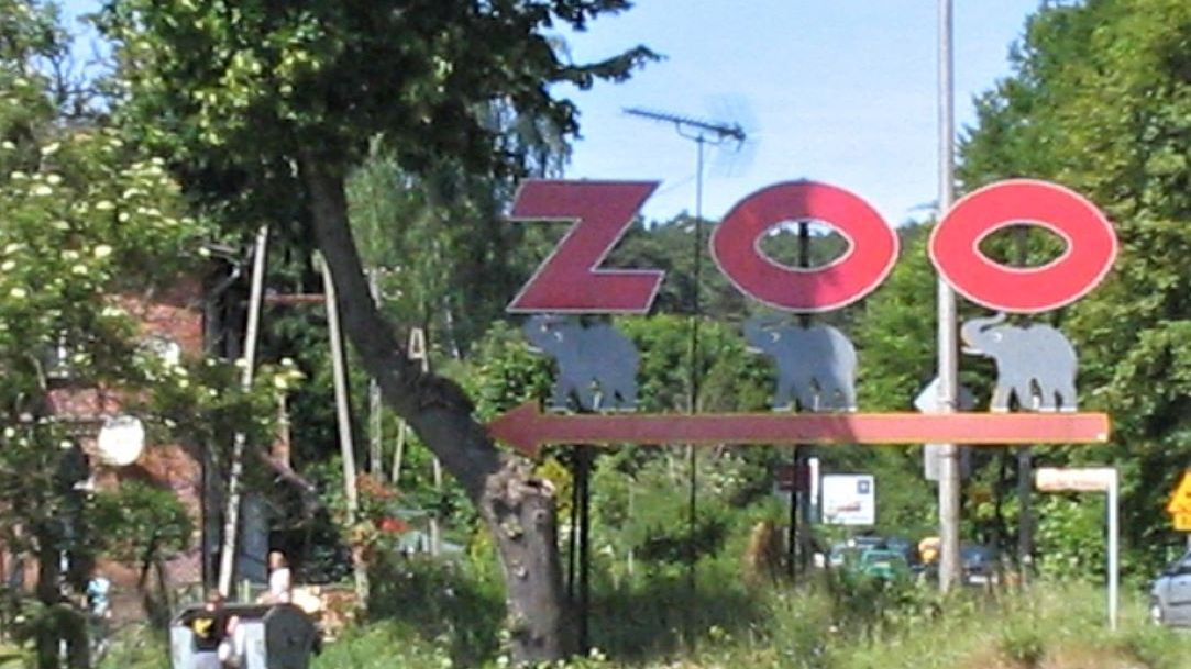 W gdańskim zoo doszło do molestowania?