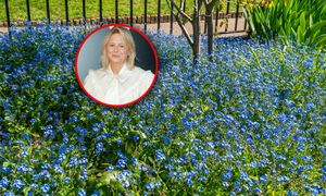 Zasiej zamiast trawy. Lista alternatyw od Mai Popielarskiej jest długa