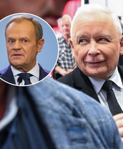 Bratobójcze starcia w koalicji i powody do niepokoju dla PiS. Wskazują konkretne miasta