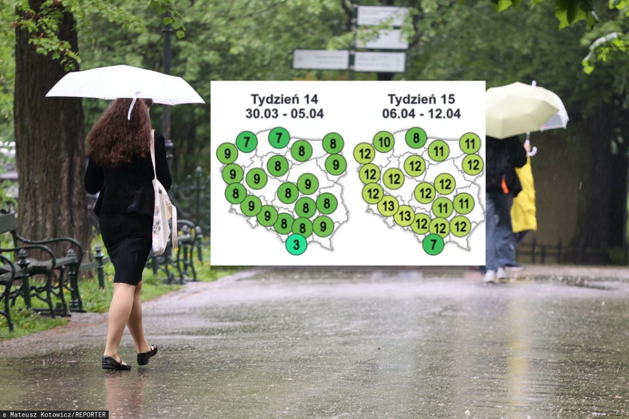 Zwrot w pogodzie. "Ponadprzeciętna suma opadów"
