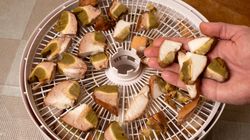 Grzyby to magazyn witamin. Jak je przygotowywać, by nie straciły wartości?