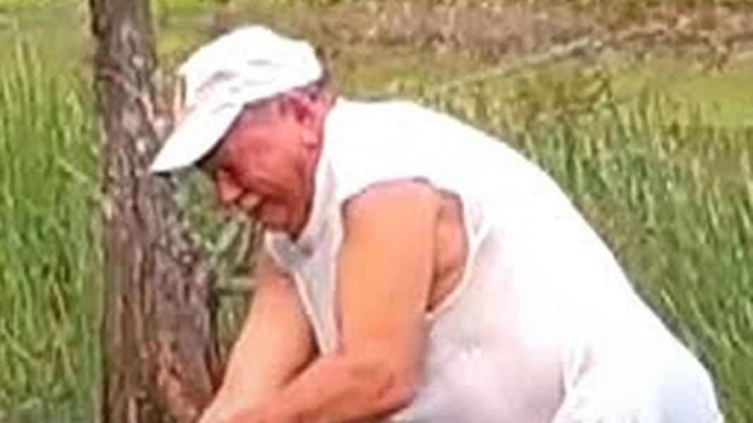 Właściciel wyciągający psa z paszczy krokodyla