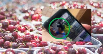 "Pan w czapeczce" ukradł owoce. Zaskakująca reakcja właścicielki